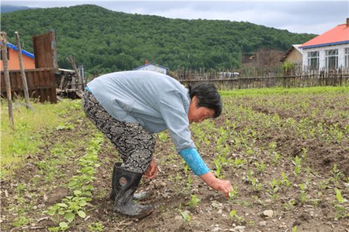 双鸭山饶河县 山水有情化金银 五色 崛起五林洞